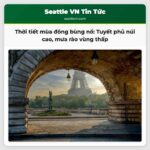 Thời tiết mùa đông bùng nổ Tuyết phủ núi cao mưa rào vùng thấp