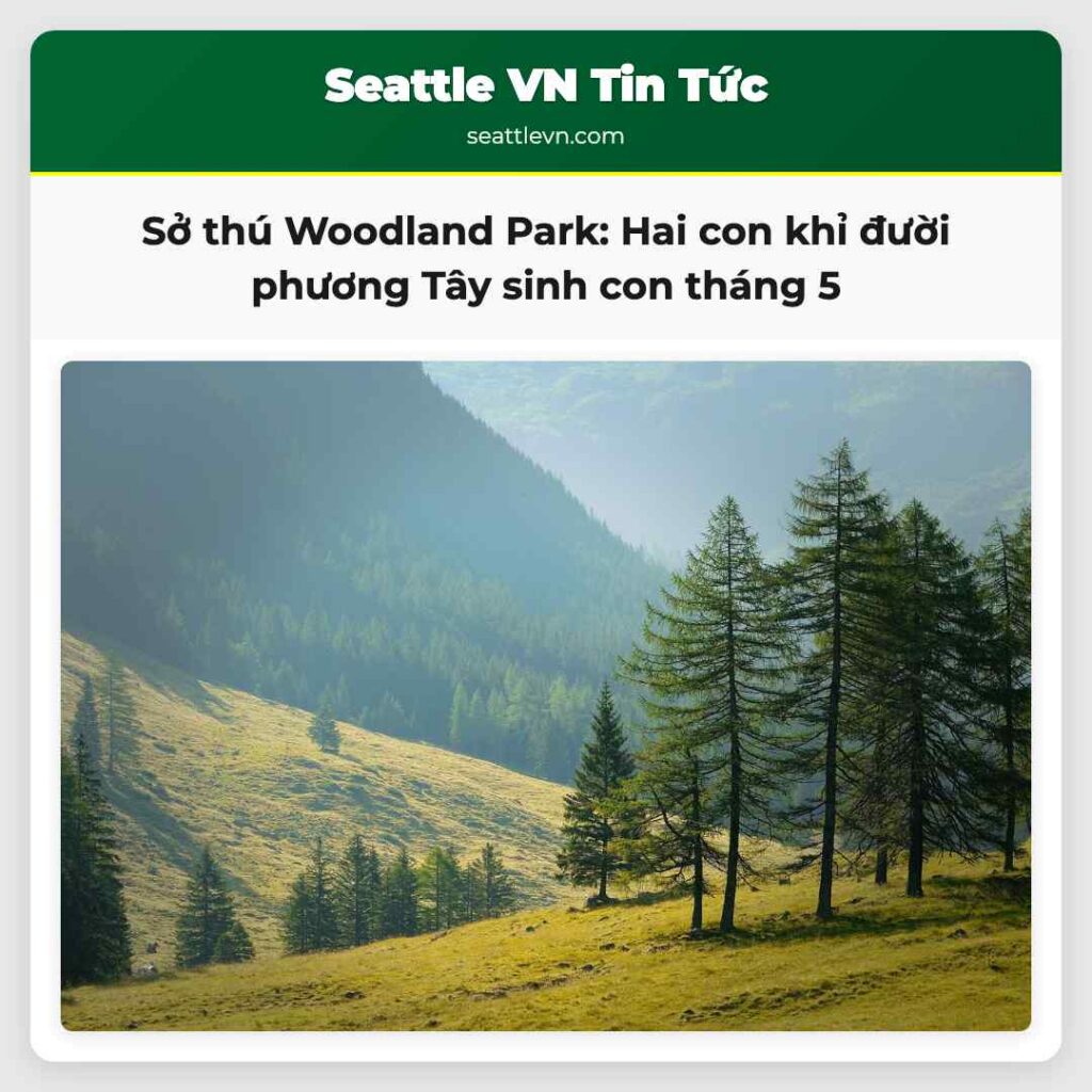 Sở thú Woodland Park: Hai con khỉ đười phương Tây