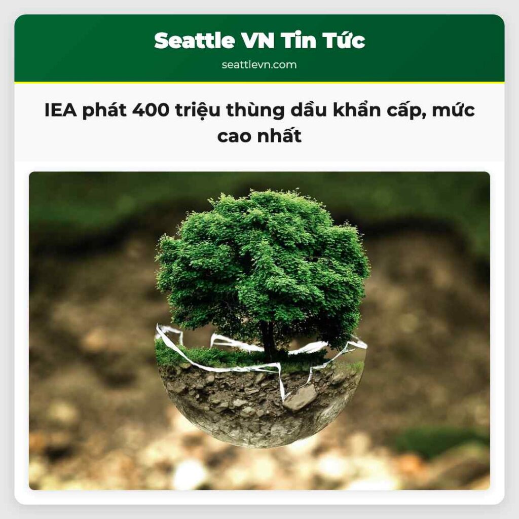 IEA phát 400 triệu thùng dầu khẩn cấp, mức cao