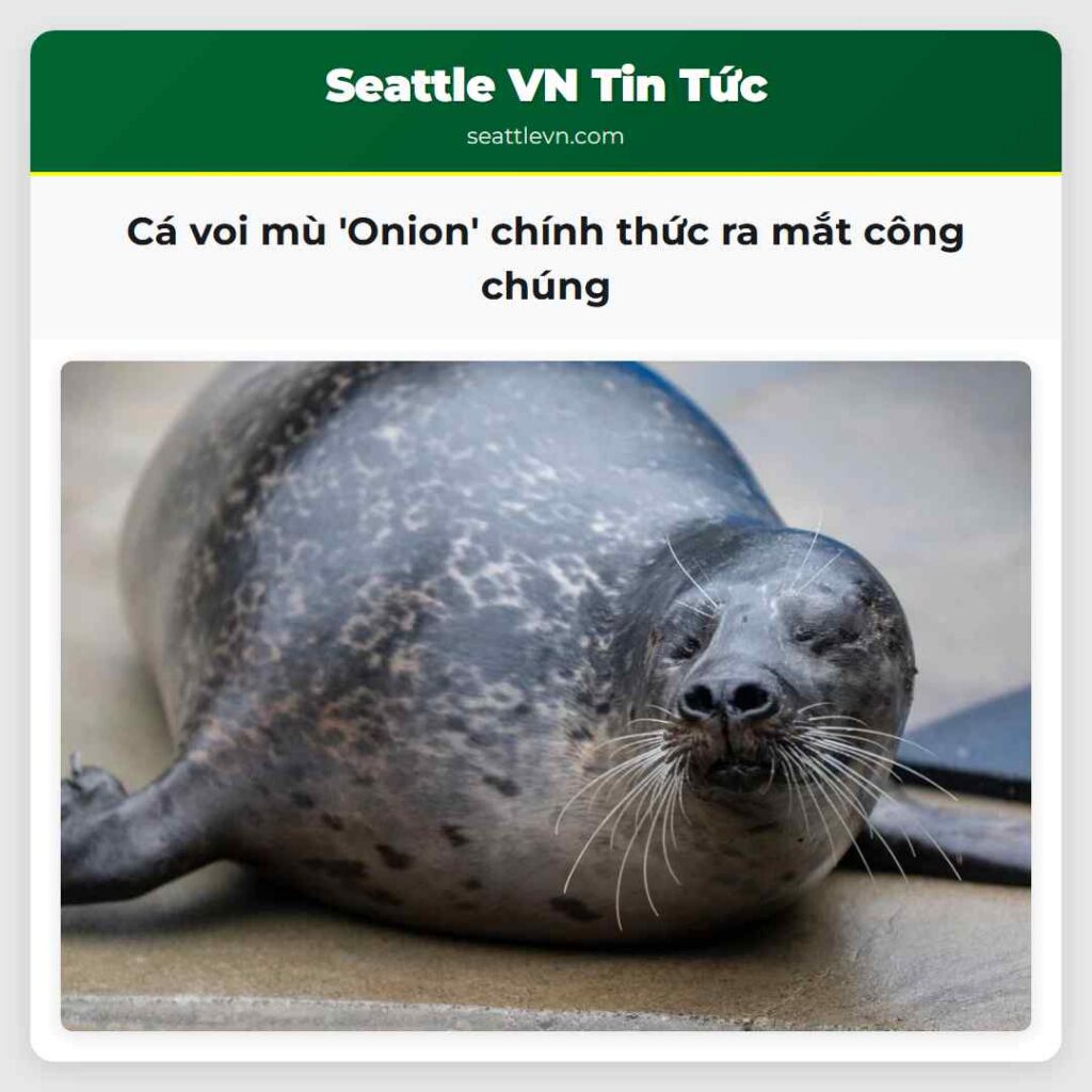 Cá voi mù 'Onion' chính thức ra mắt công chúng