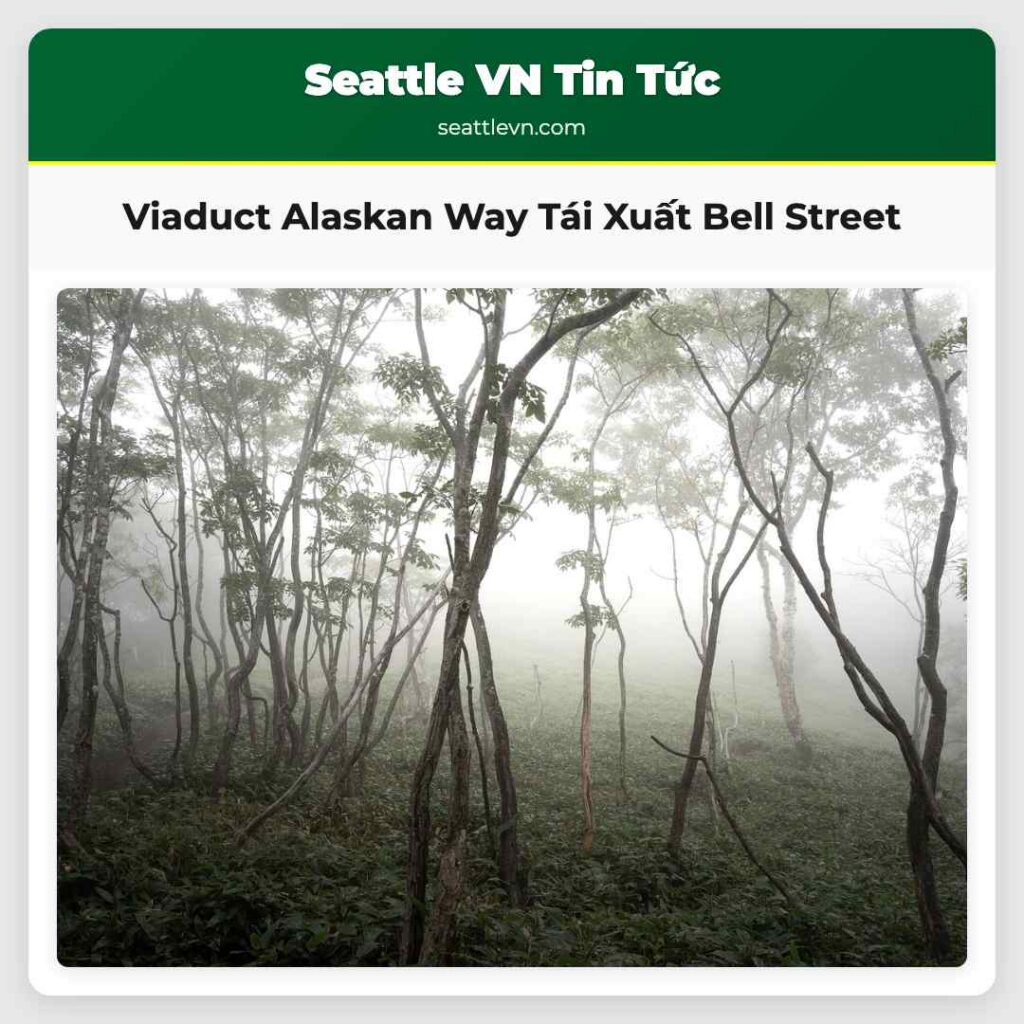 Viaduct Alaskan Way Tái Xuất Bell Street