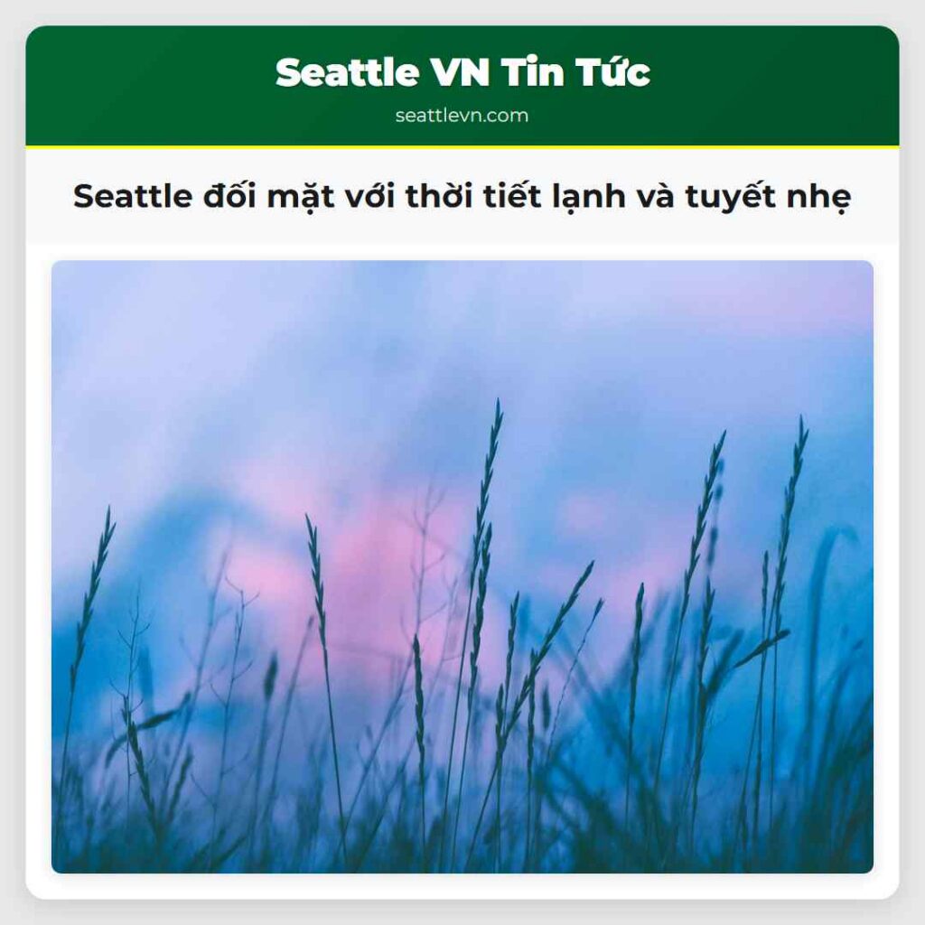 Seattle đối mặt với thời tiết lạnh và tuyết nhẹ