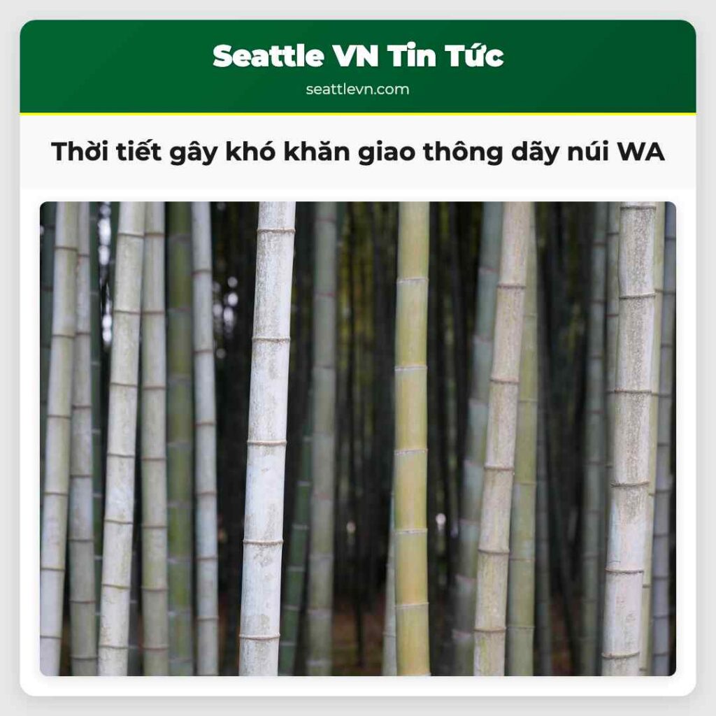 Thời tiết gây khó khăn giao thông dãy núi WA