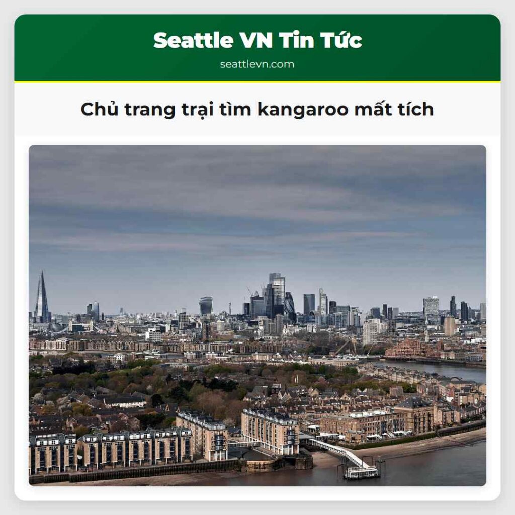 Chủ trang trại tìm kangaroo mất tích