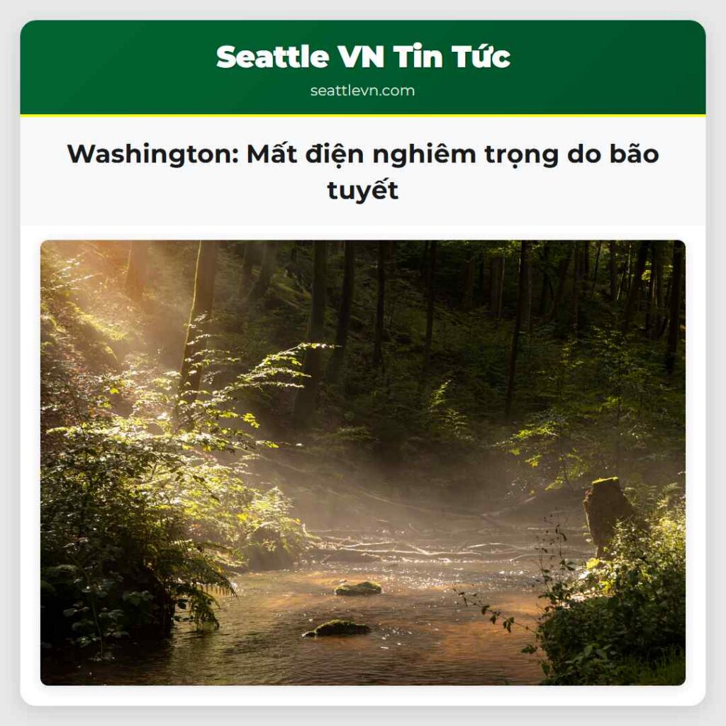Washington: Mất điện nghiêm trọng do bão tuyết