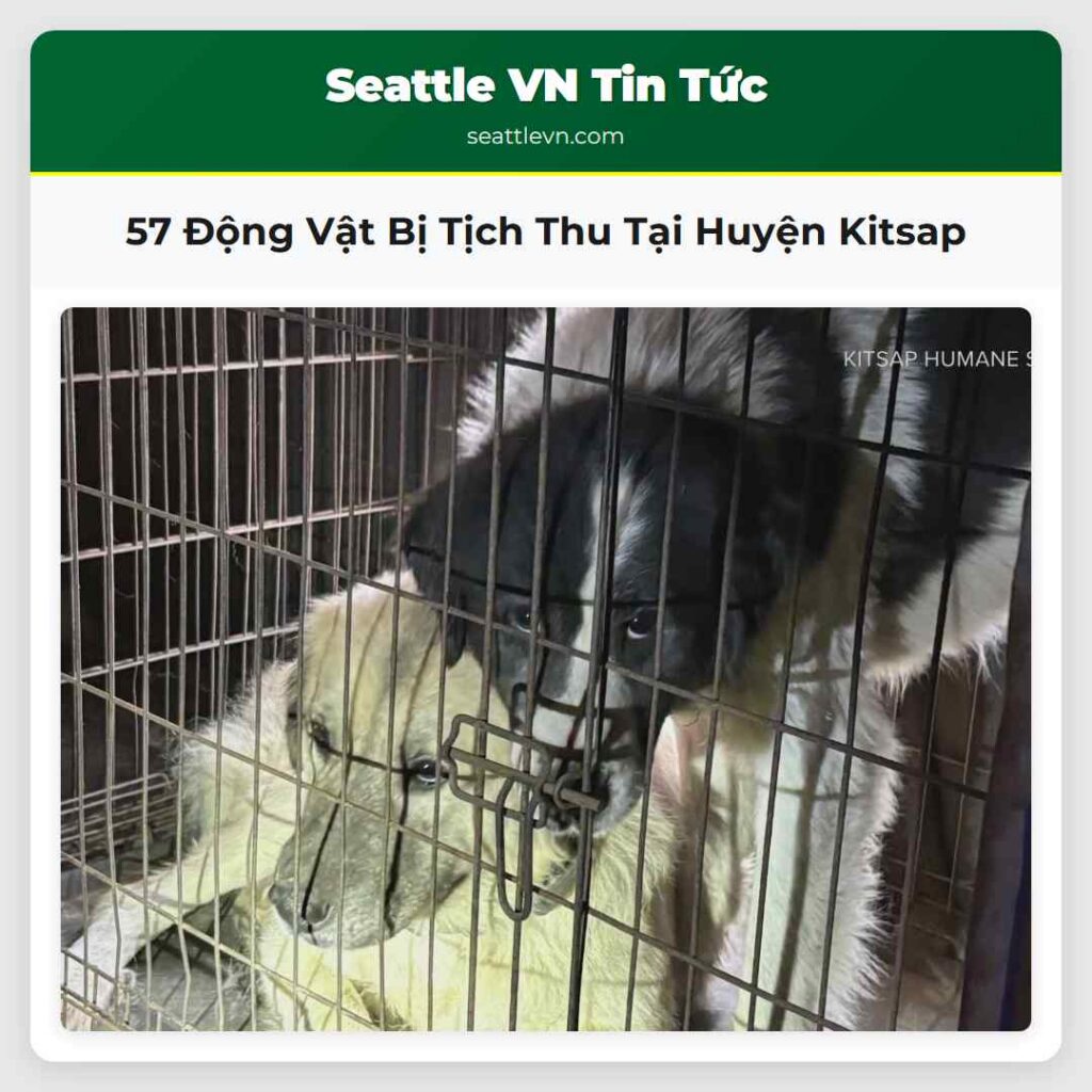 57 Động Vật Bị Tịch Thu Tại Huyện Kitsap