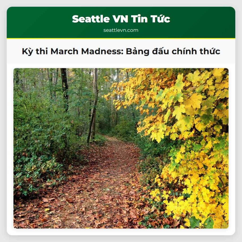 Kỳ thi March Madness: Bảng đấu chính thức