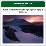 Người cao tuổi tử vong trong vụ tai nạn giao thông nghiêm trọng ở Bellevue