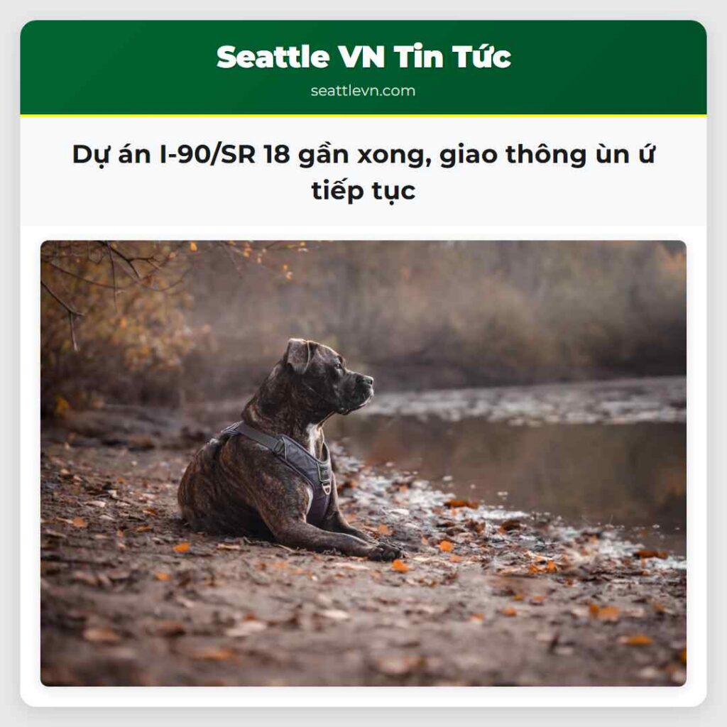 Dự án I-90/SR 18 gần xong, giao thông ùn ứ tiếp