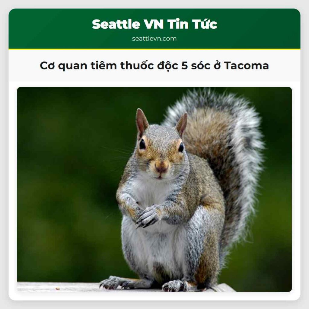 Cơ quan tiêm thuốc độc 5 sóc ở Tacoma