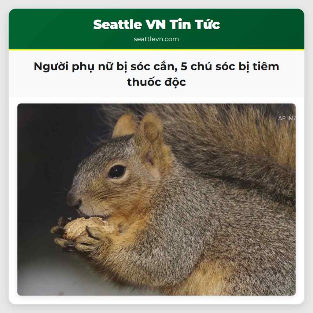 Người phụ nữ bị sóc cắn, 5 chú sóc bị tiêm thuốc