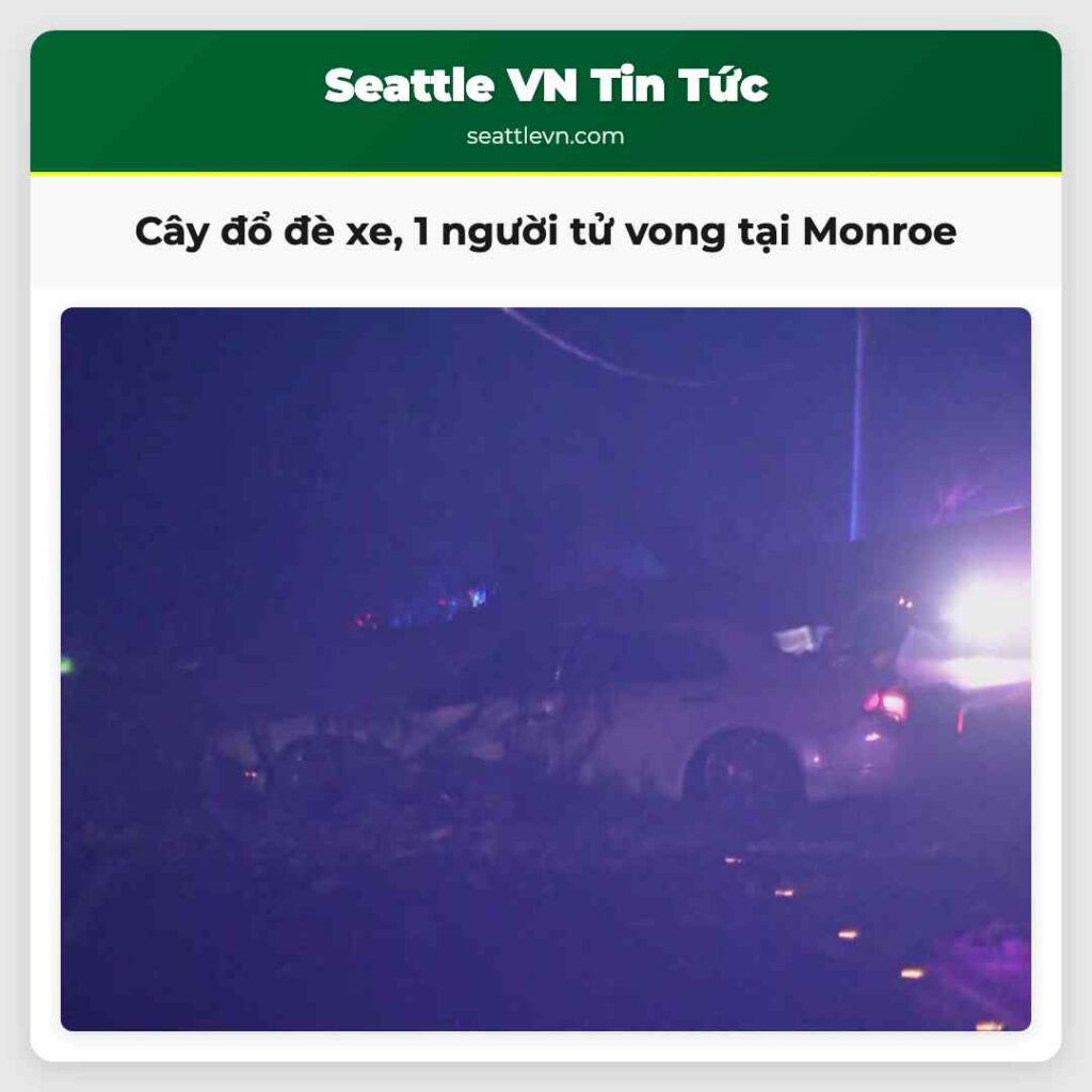 Cây đổ đè xe, 1 người tử vong tại Monroe