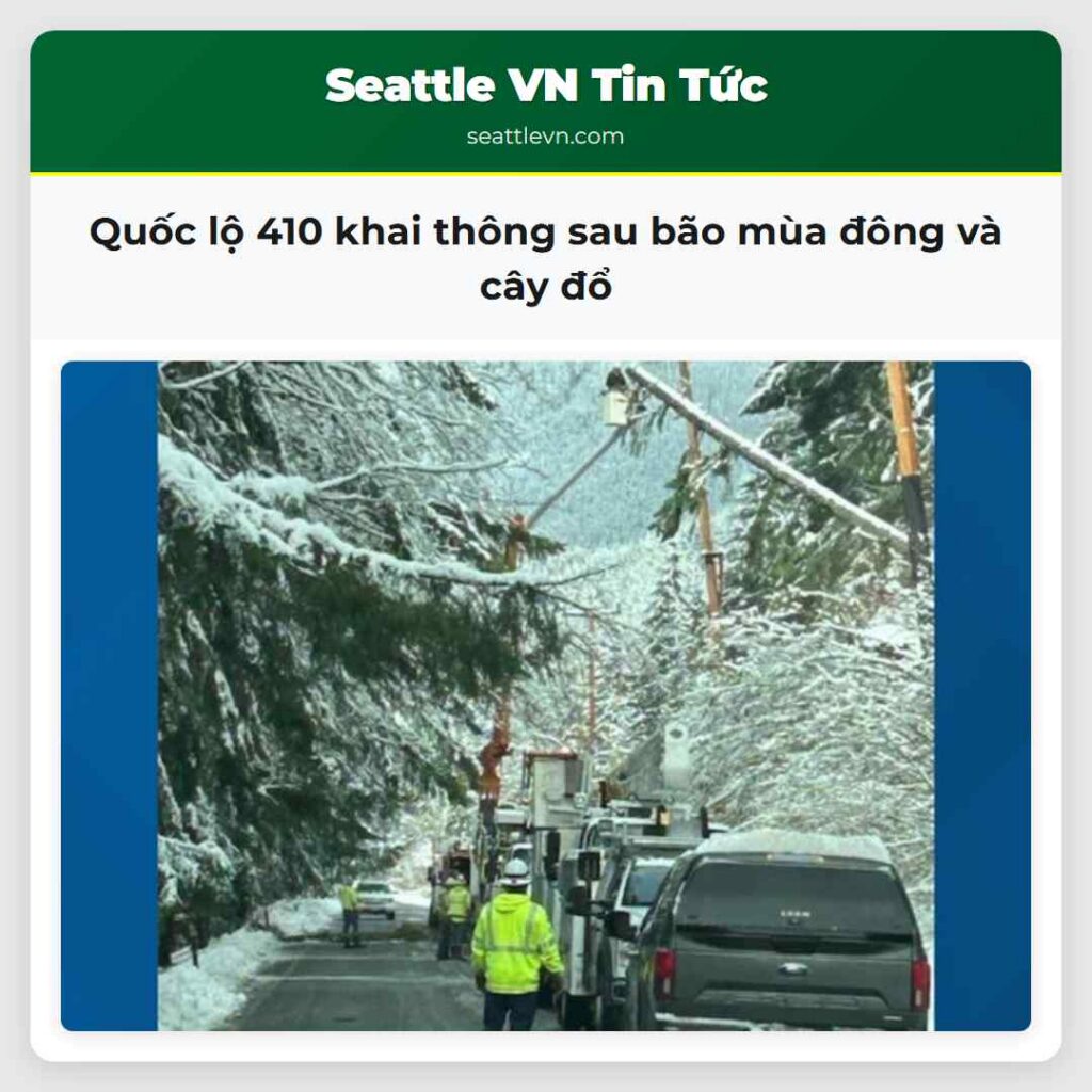 Quốc lộ 410 khai thông sau bão mùa đông và cây đổ