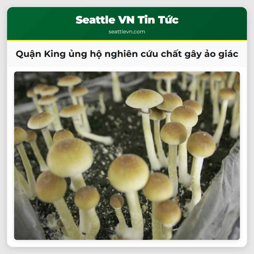 Quận King ủng hộ nghiên cứu chất gây ảo giác
