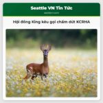 Hội đồng King kêu gọi chấm dứt KCRHA