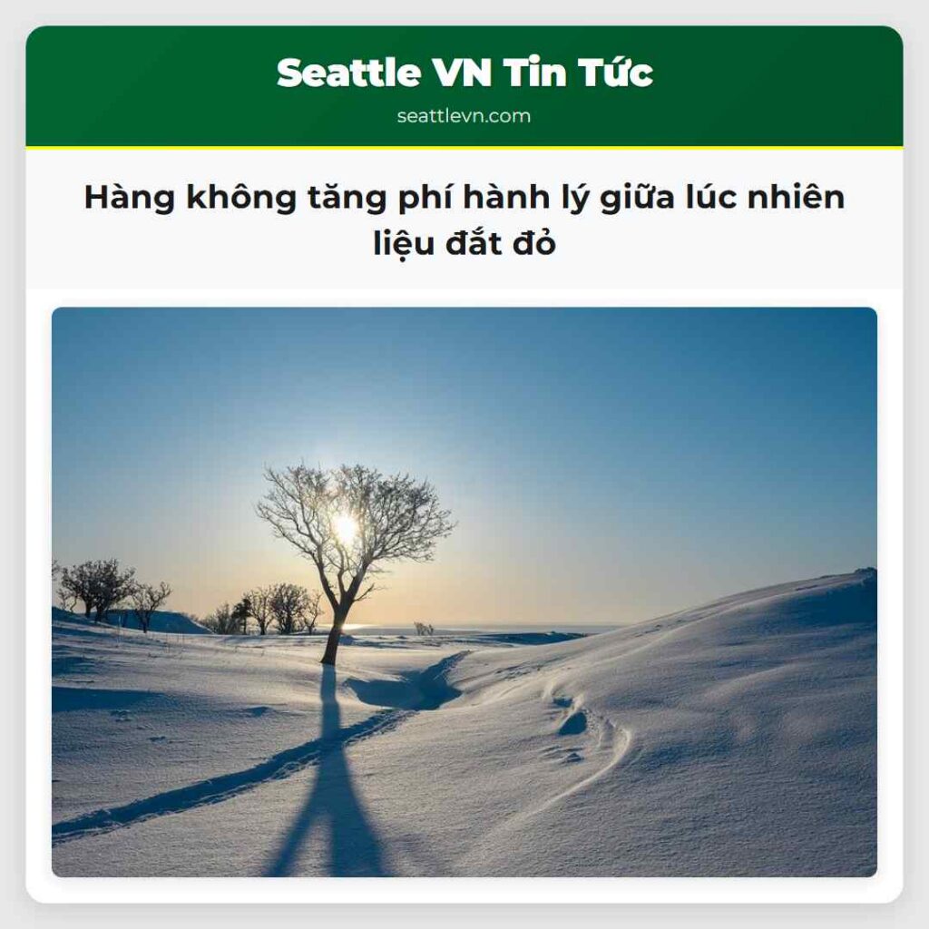 Hàng không tăng phí hành lý giữa lúc nhiên liệu