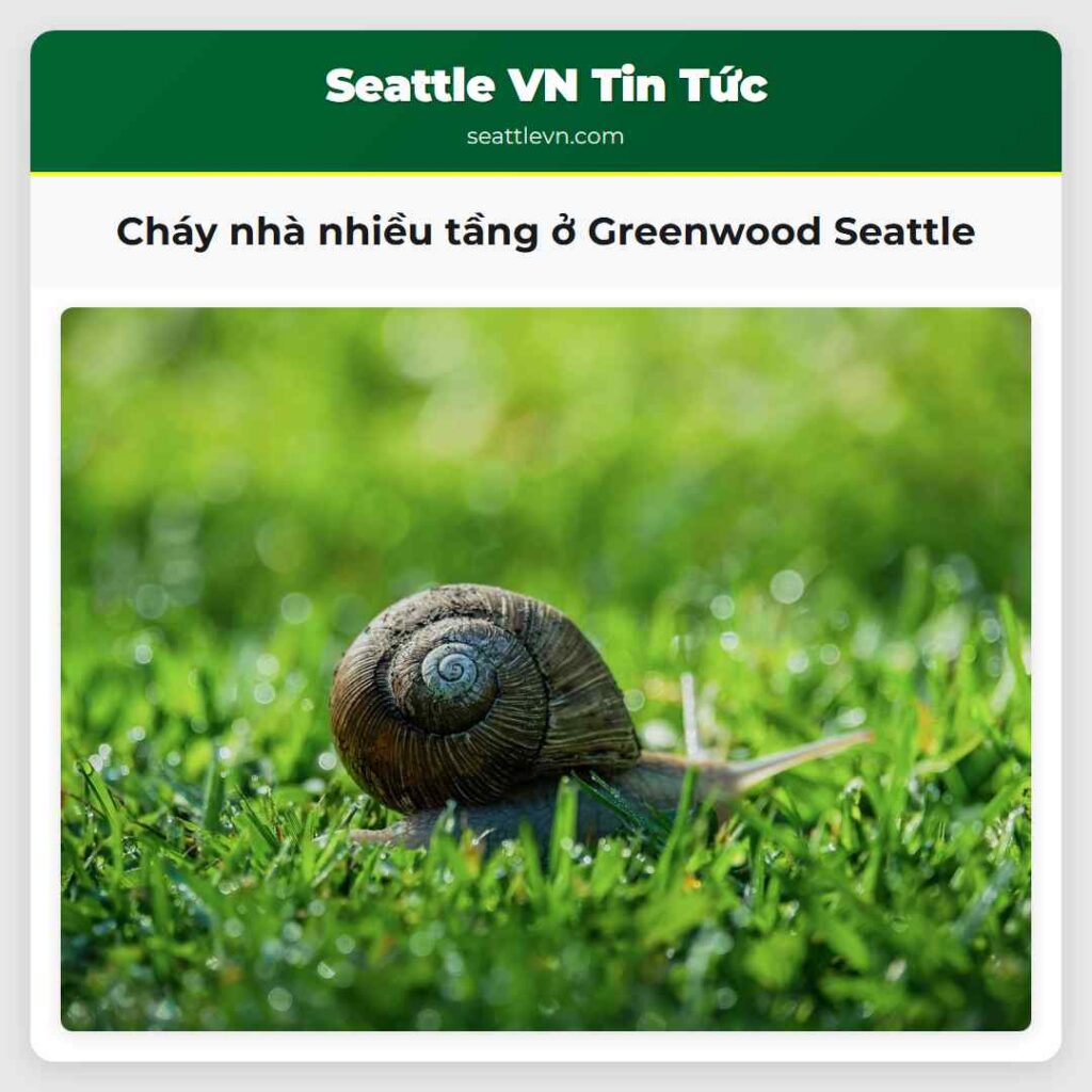 Cháy nhà nhiều tầng ở Greenwood Seattle