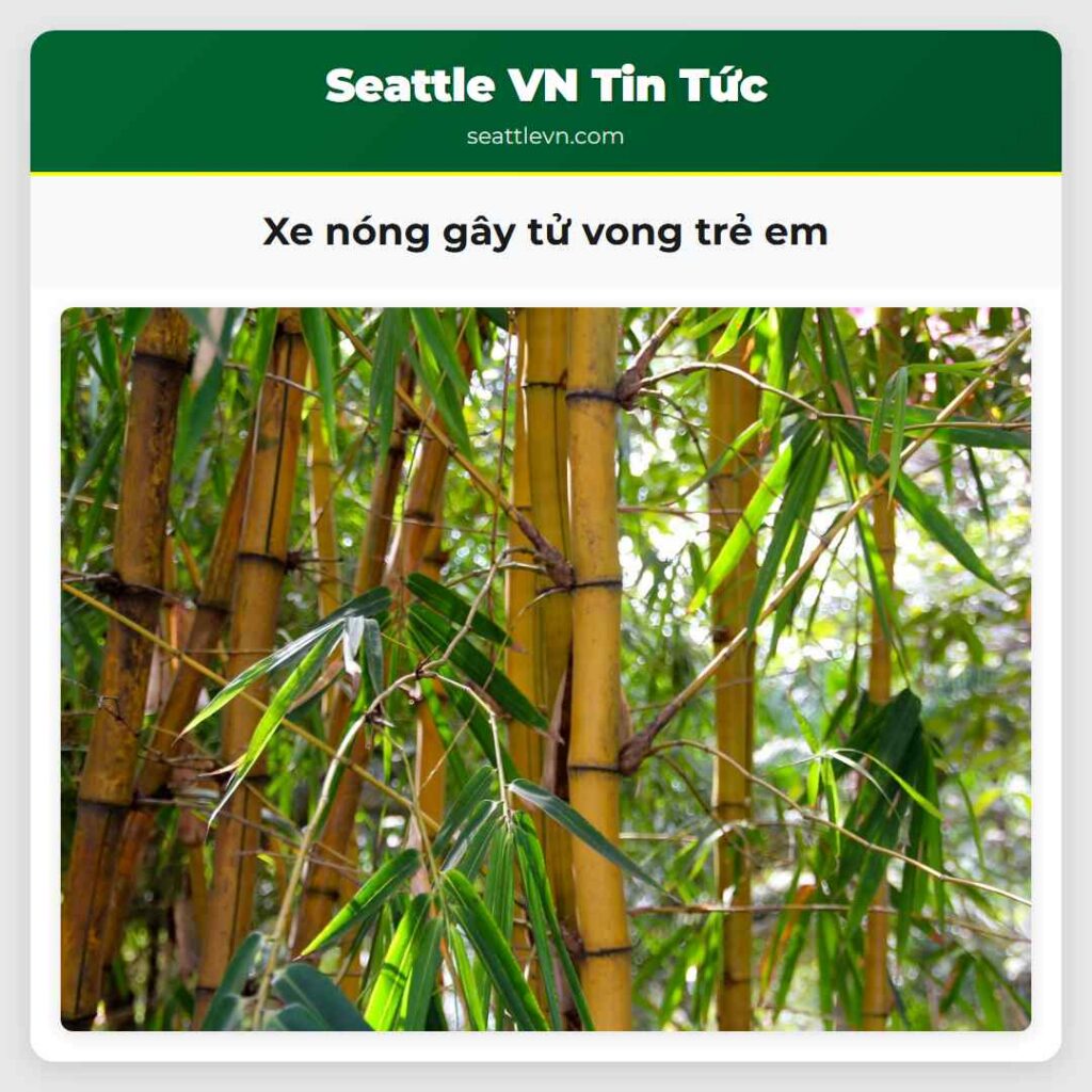 Xe nóng gây tử vong trẻ em