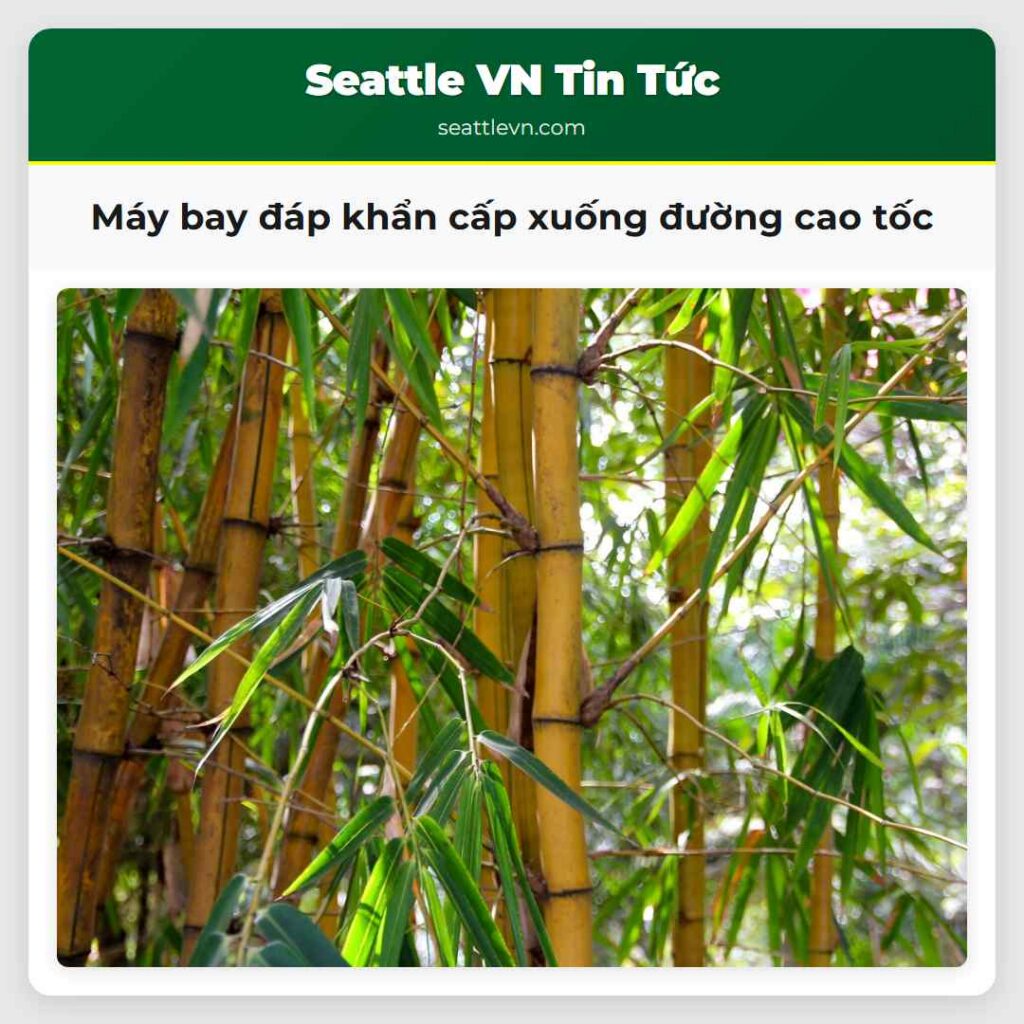 Máy bay đáp khẩn cấp xuống đường cao tốc