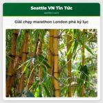 Giải chạy marathon London phá kỷ lục