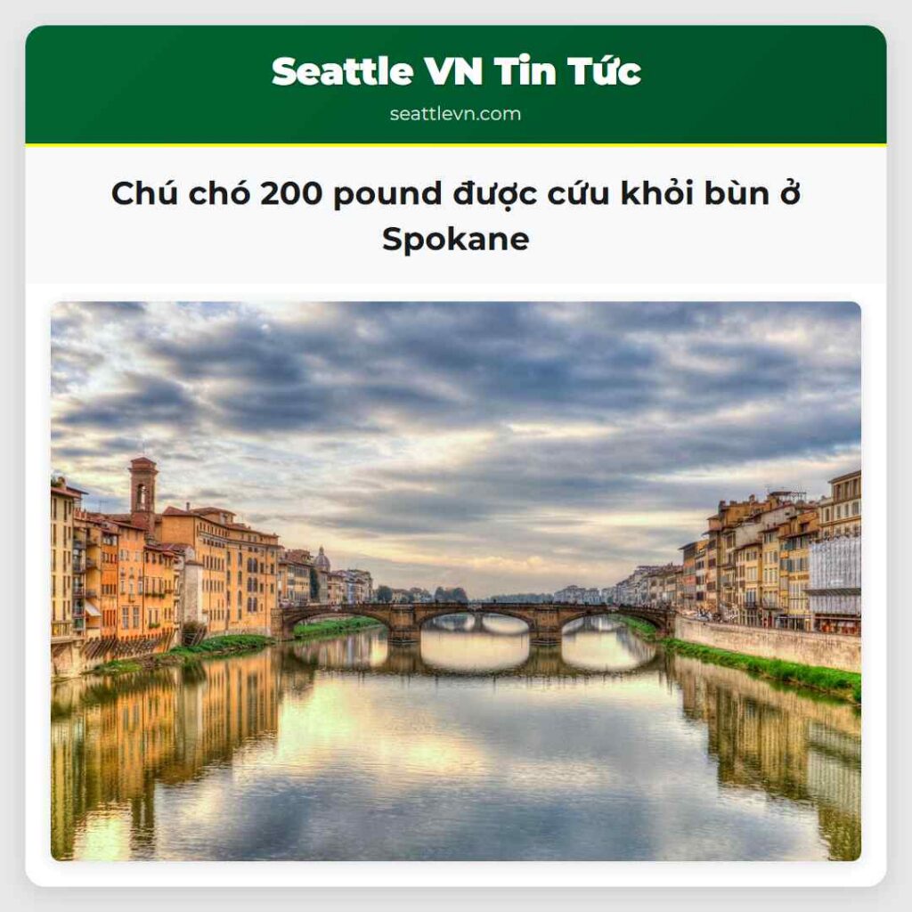 Chú chó 200 pound được cứu khỏi bùn ở Spokane