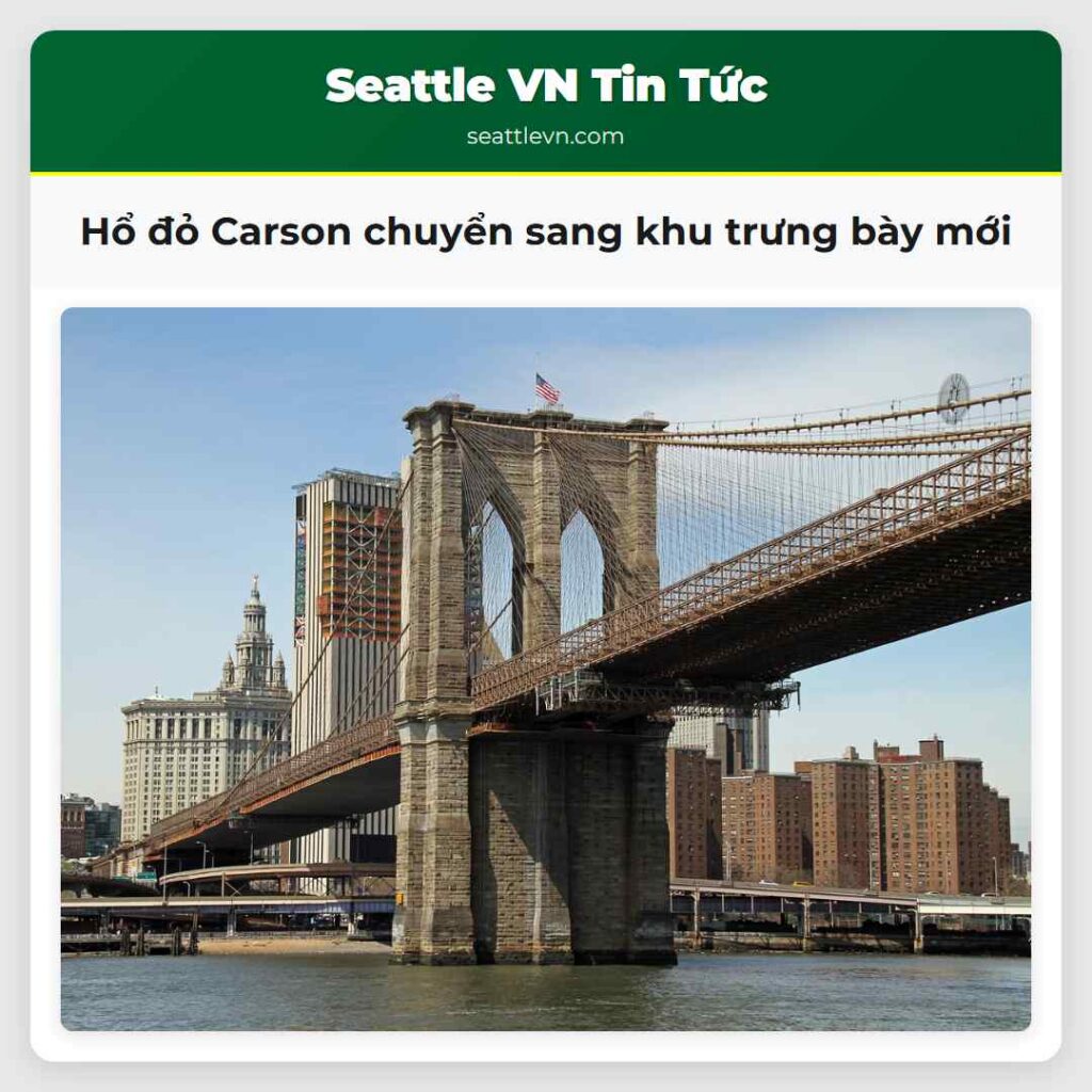 Hổ đỏ Carson chuyển sang khu trưng bày mới