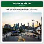 Bắt giữ đối tượng 14 tiền án trốn chạy