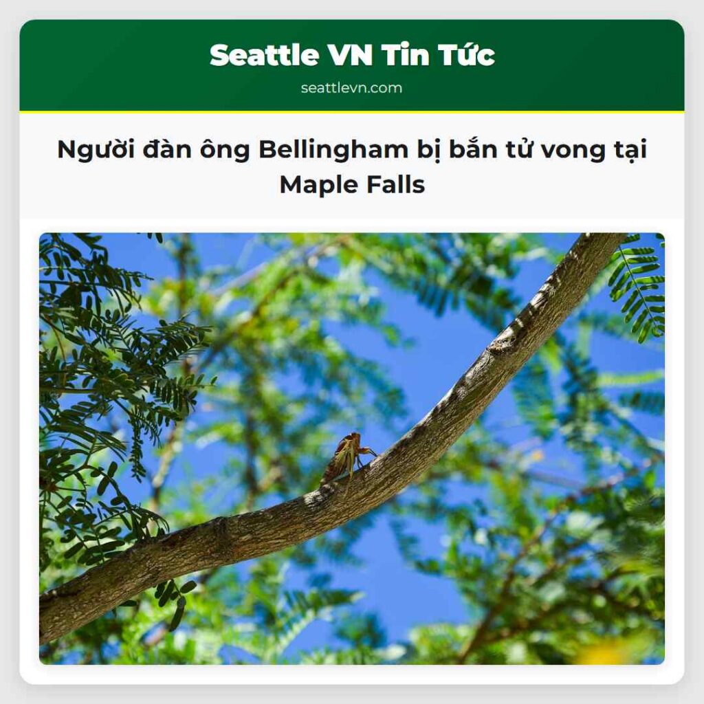 Người đàn ông Bellingham bị bắn tử vong tại Maple