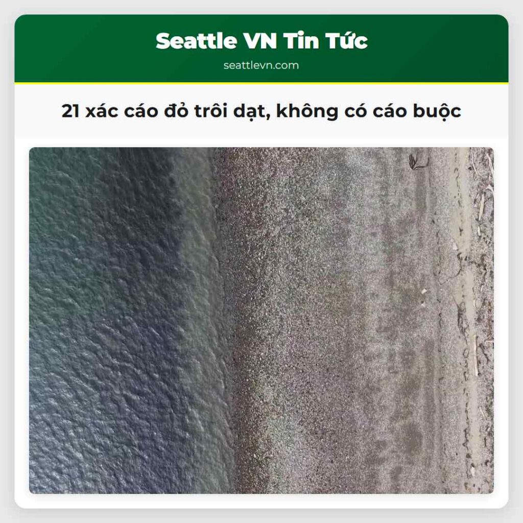 21 xác cáo đỏ trôi dạt, không có cáo buộc
