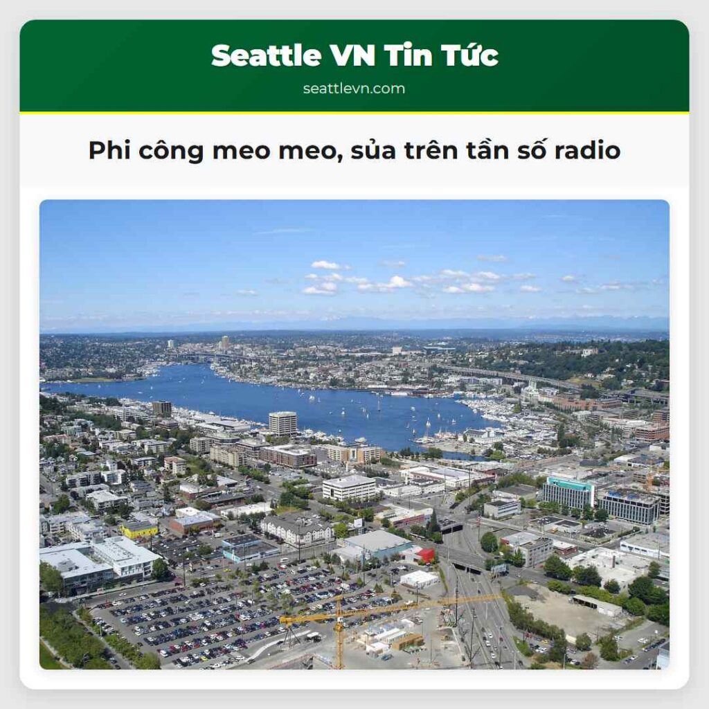 Phi công meo meo, sủa trên tần số radio