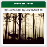 Kế Hoạch Tách Sân Cầu Lông Gây Tranh Cãi