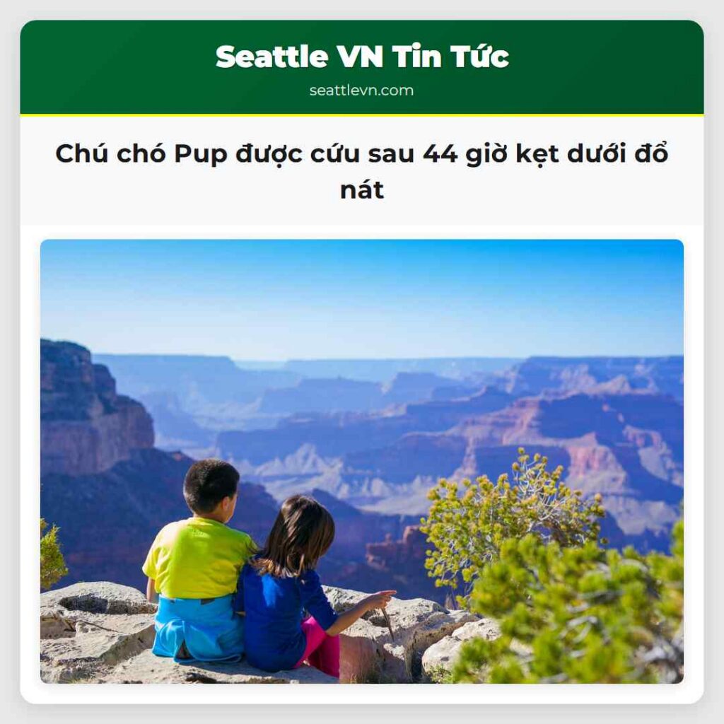 Chú chó Pup được cứu sau 44 giờ kẹt dưới đổ nát