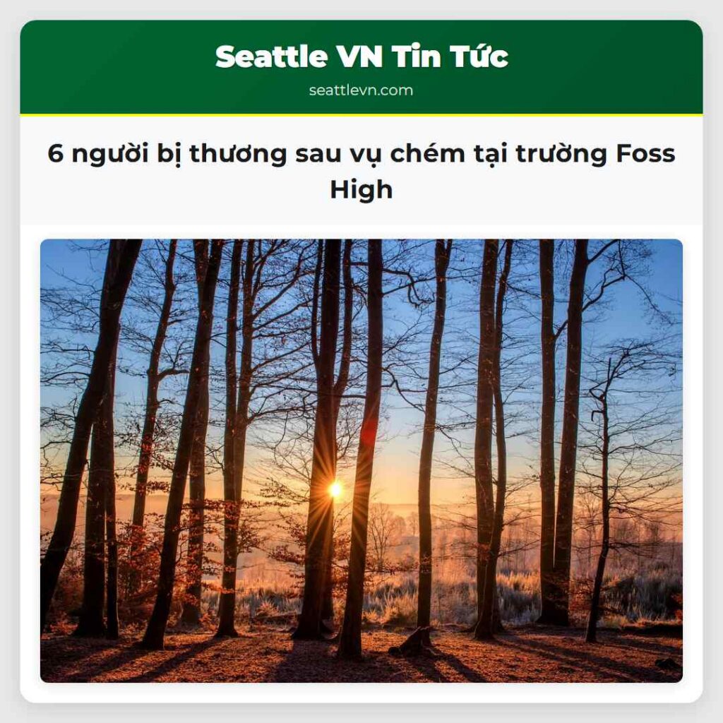 6 người bị thương sau vụ chém tại trường Foss High