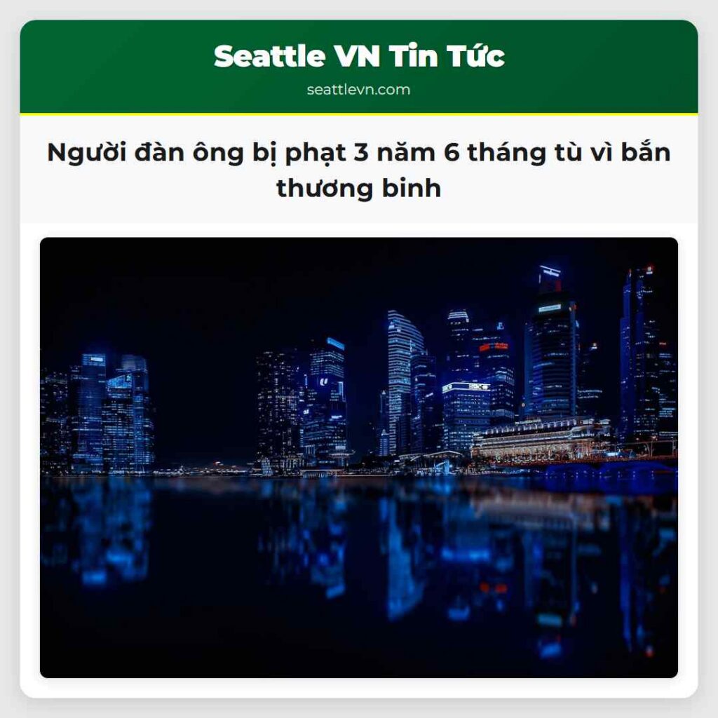 Người đàn ông bị phạt 3 năm 6 tháng tù vì bắn