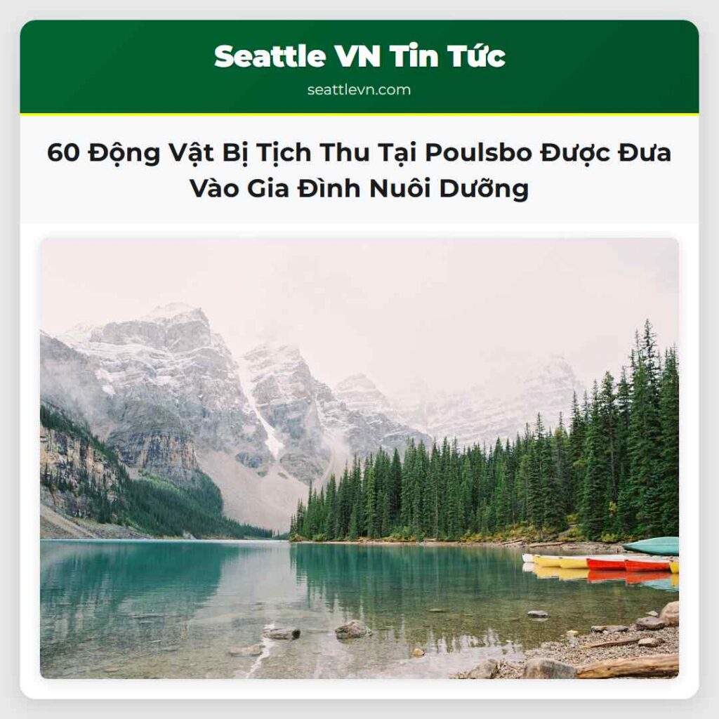 60 Động Vật Bị Tịch Thu Tại Poulsbo Được Đưa Vào