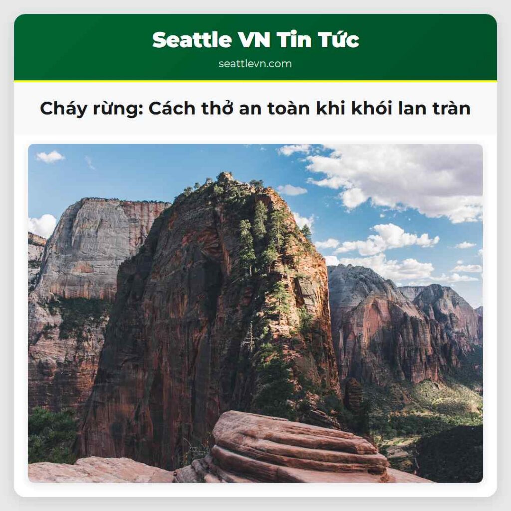 Cháy rừng: Cách thở an toàn khi khói lan tràn