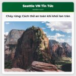 Cháy rừng Cách thở an toàn khi khói lan tràn