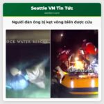 Người đàn ông bị kẹt võng biển được cứu