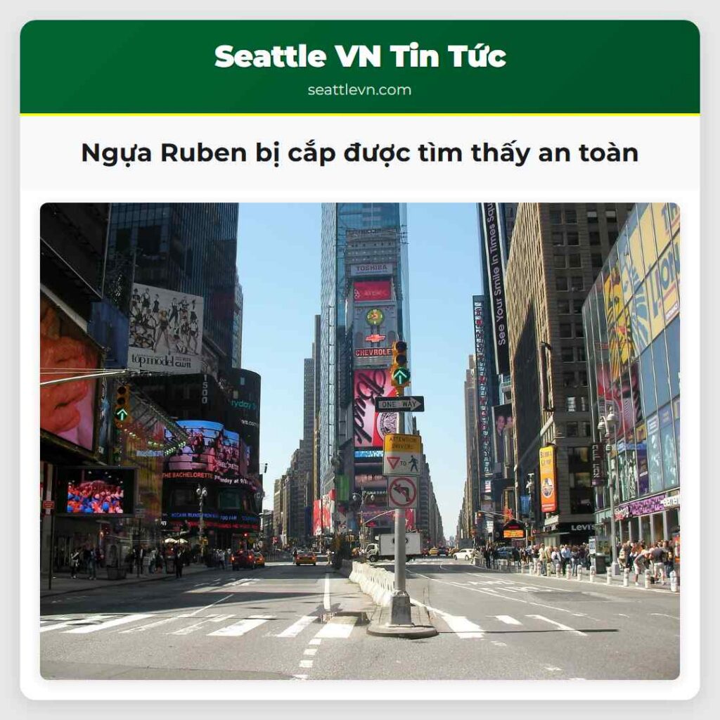 Ngựa Ruben bị cắp được tìm thấy an toàn