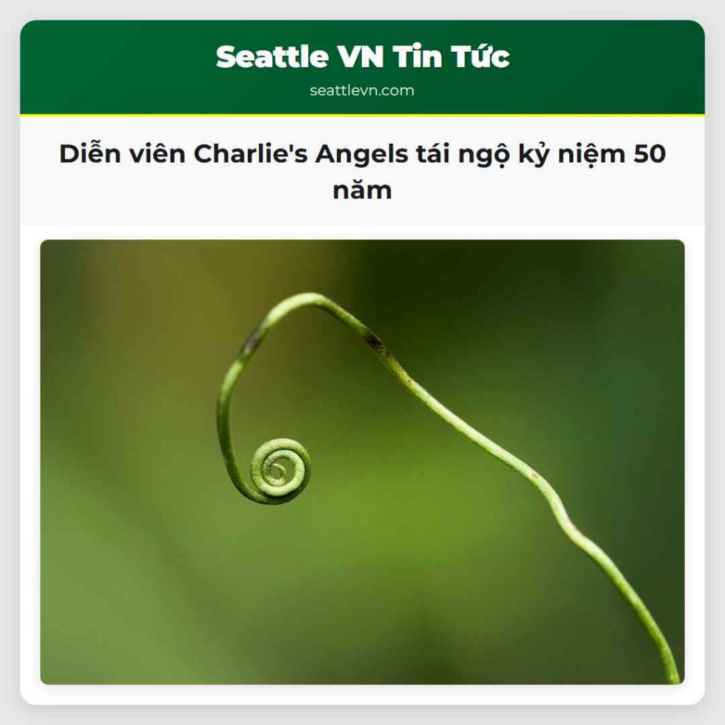 Diễn viên Charlie's Angels tái ngộ kỷ niệm 50 năm