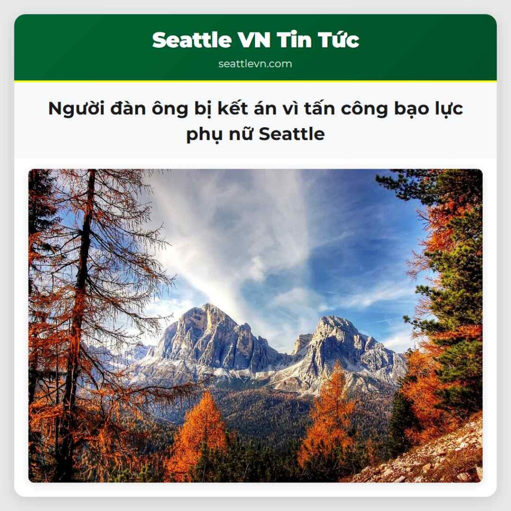 Người đàn ông bị kết án vì tấn công bạo lực phụ