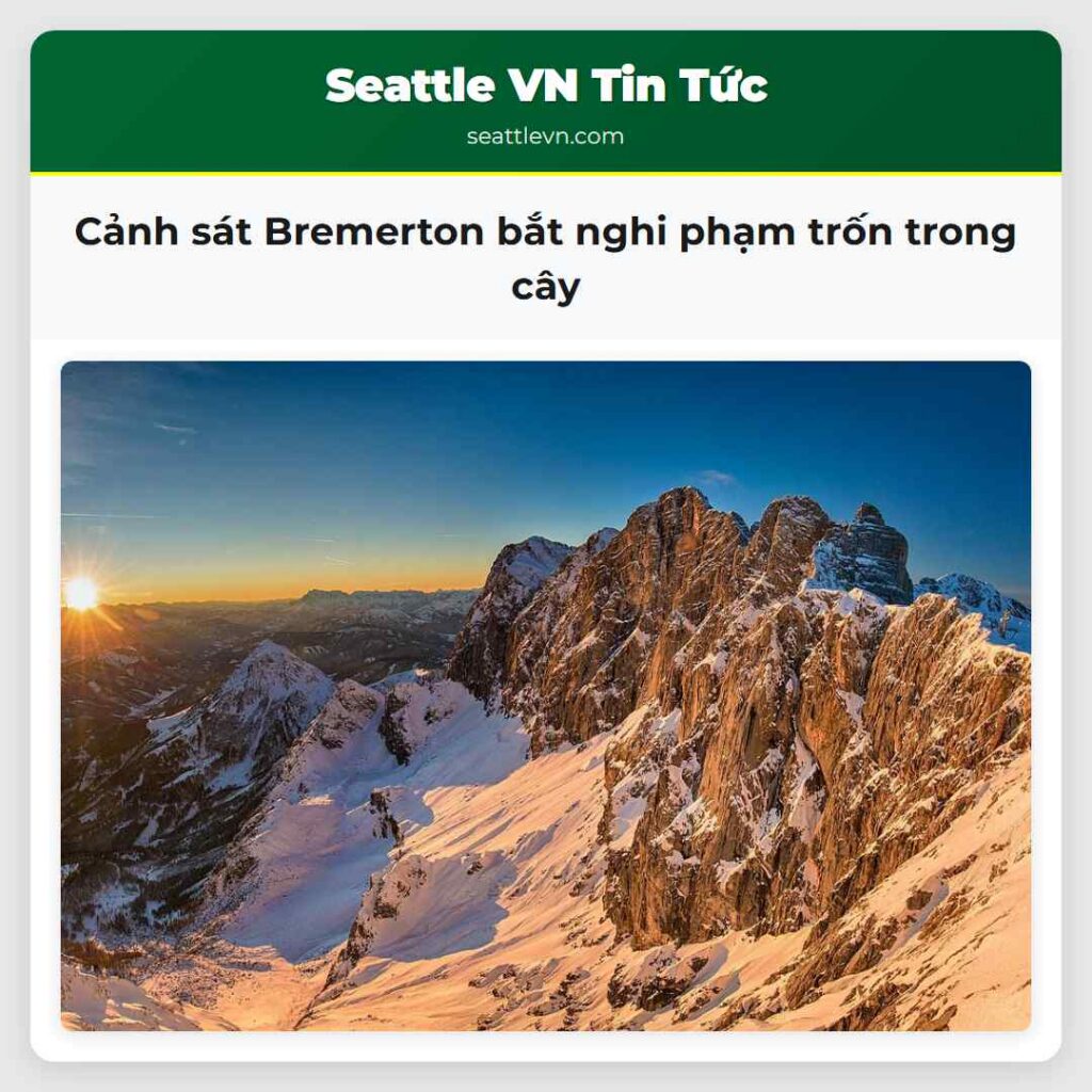 Cảnh sát Bremerton bắt nghi phạm trốn trong cây