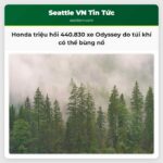 Honda triệu hồi 440.830 xe Odyssey do túi khí có thể bùng nổ