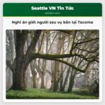 Nghi án giết người sau vụ bắn tại Tacoma