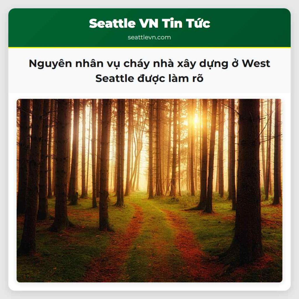 Nguyên nhân vụ cháy nhà xây dựng ở West Seattle