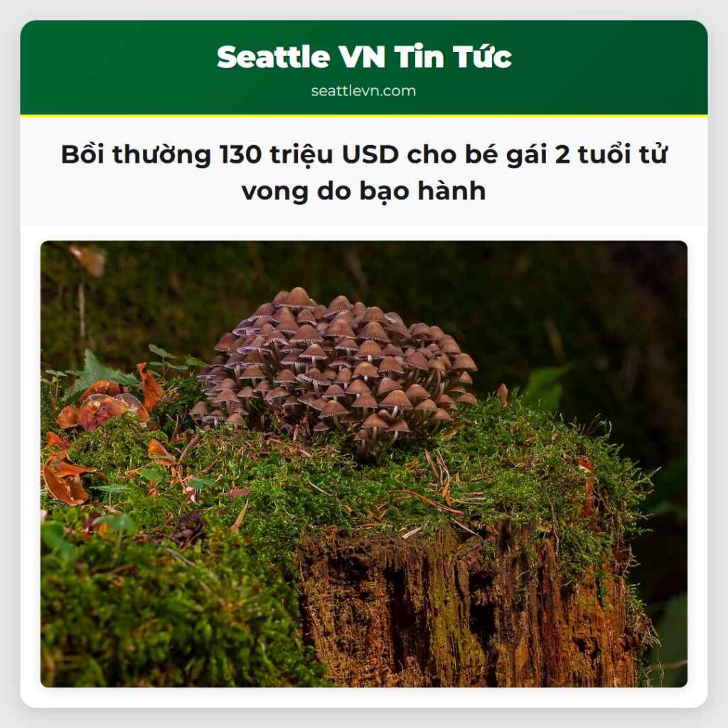 Bồi thường 130 triệu USD cho bé gái 2 tuổi tử