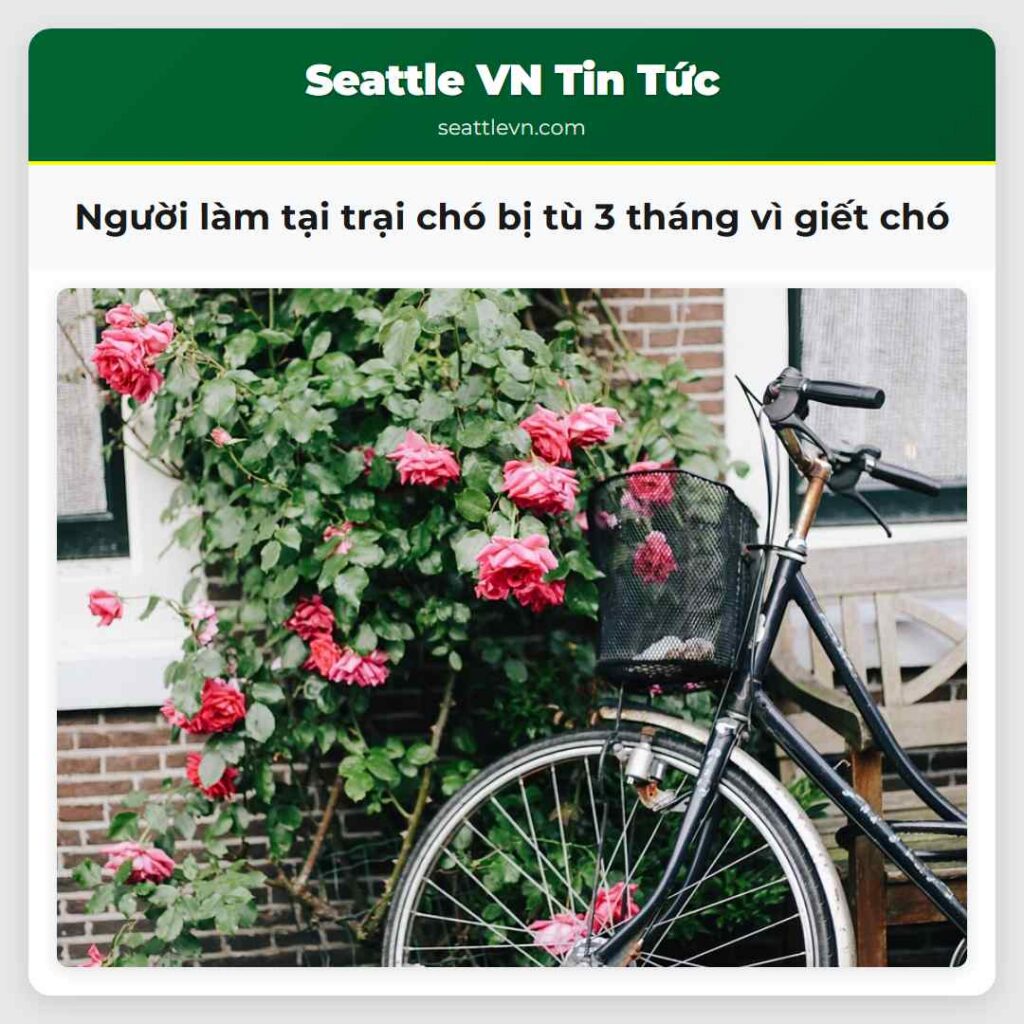 Người làm tại trại chó bị tù 3 tháng vì giết chó