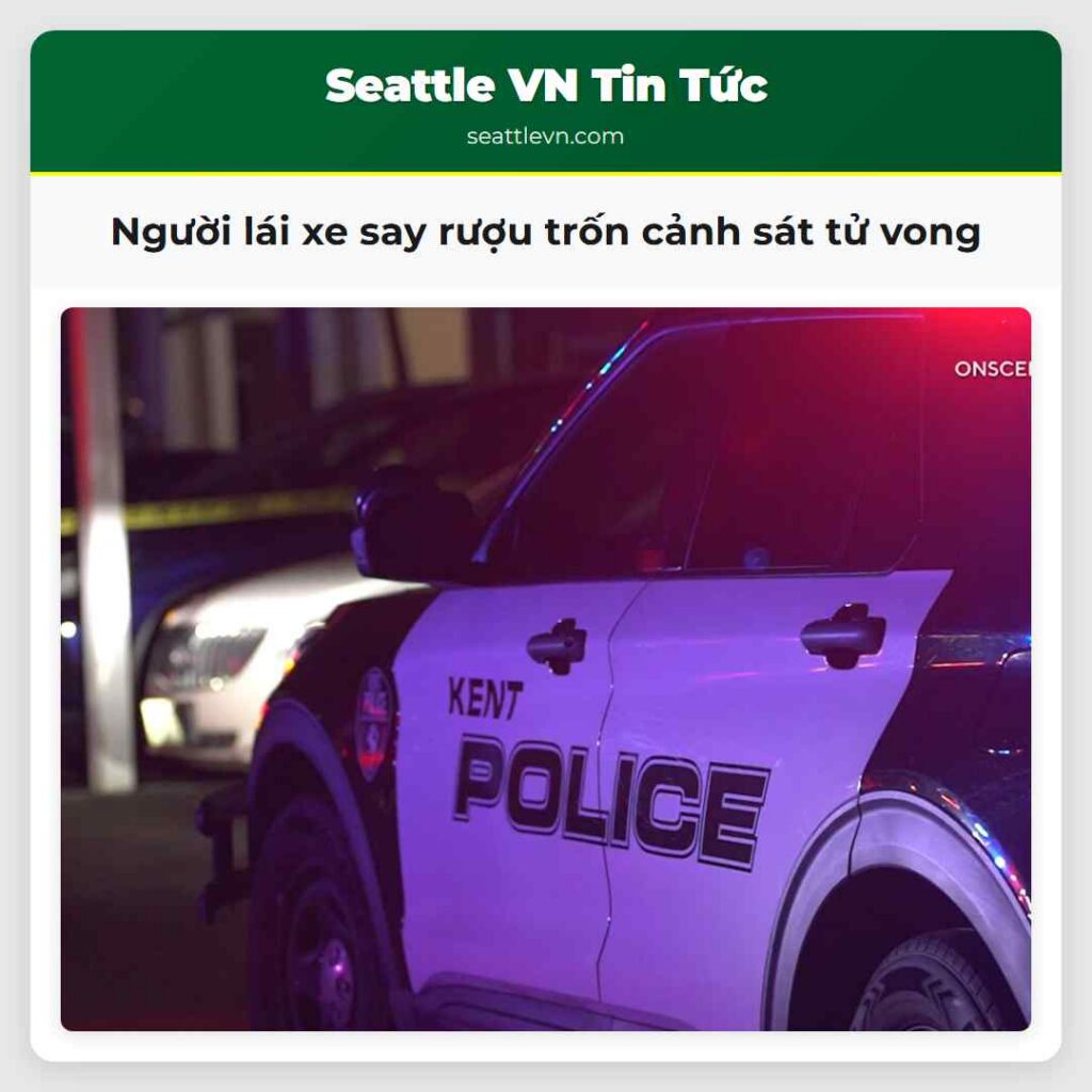 Người lái xe say rượu trốn cảnh sát tử vong