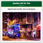 Người trộm bị bắt thả và tái phạm