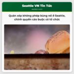 Quán xép không phép bùng nổ ở Seattle chính quyền cáo buộc có tổ chức